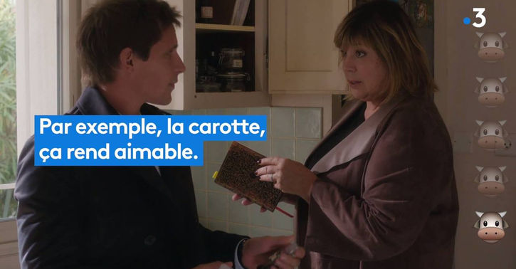 La stagiaire : L'instant vache 🐮